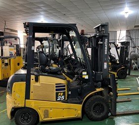 xe nâng điện 2,5 tấn       FE25-1                0973766284